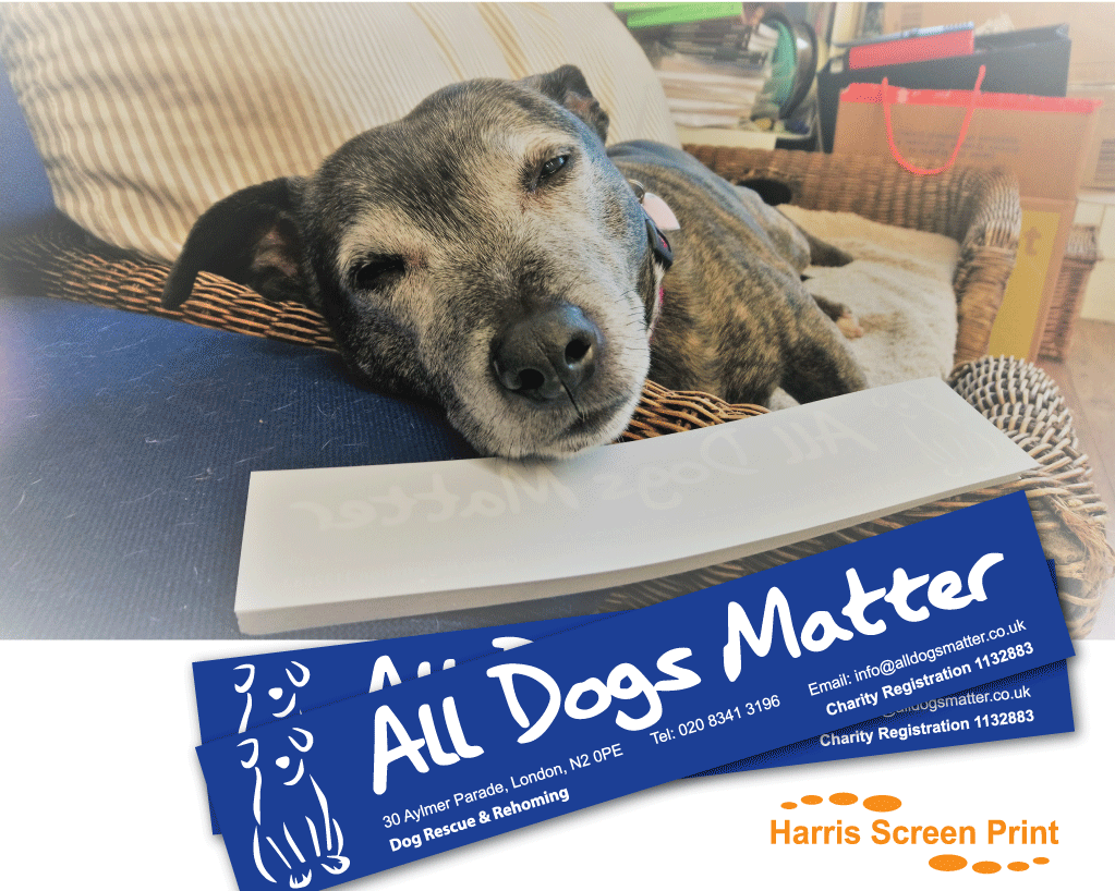 Charity car window stickers printed for All Dogs Matter