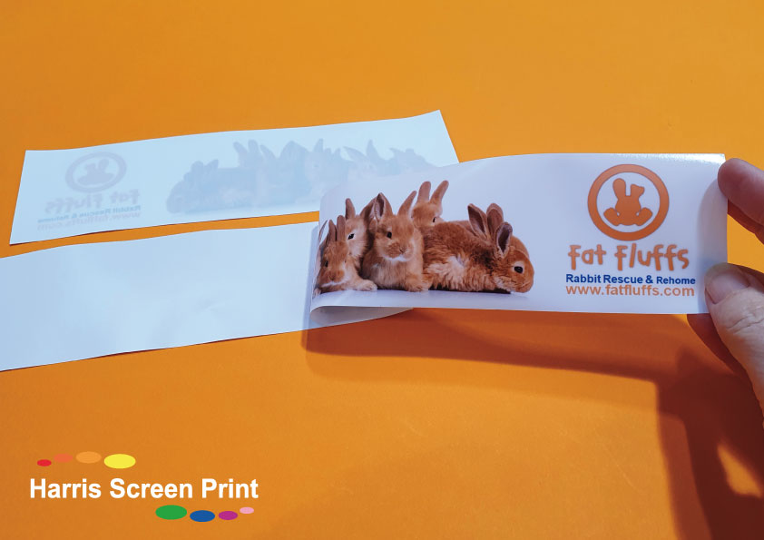 Car Stickers printed for Rabbit Rescue and Rehoming Charity