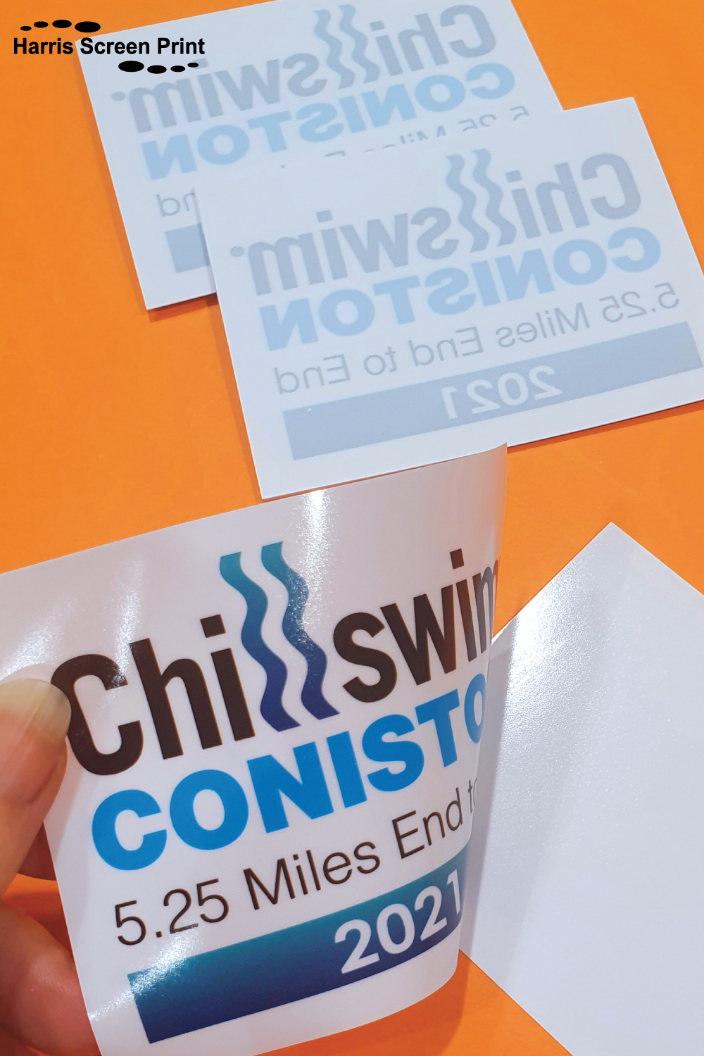 Coniston Chillswim 2021 Stickers