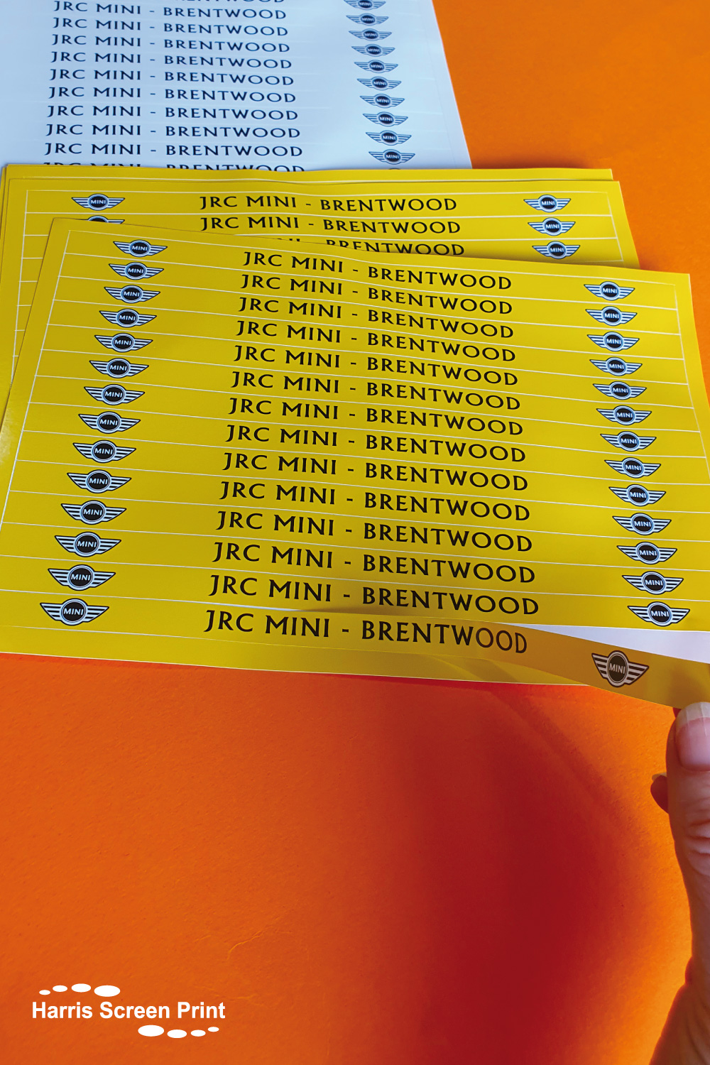 Reg Plate stickers custom printed