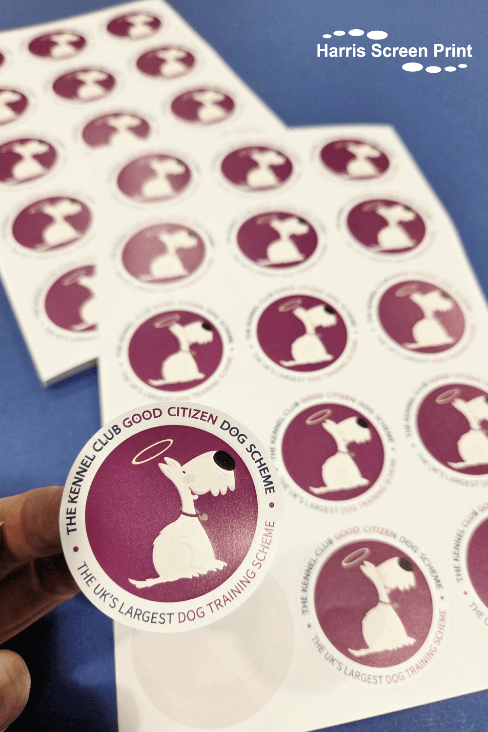 The Kennel Club Good Citizen Dog Scheme Stickers