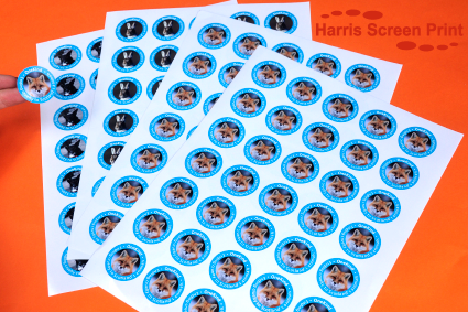 Waterproof charity lapel stickers printed