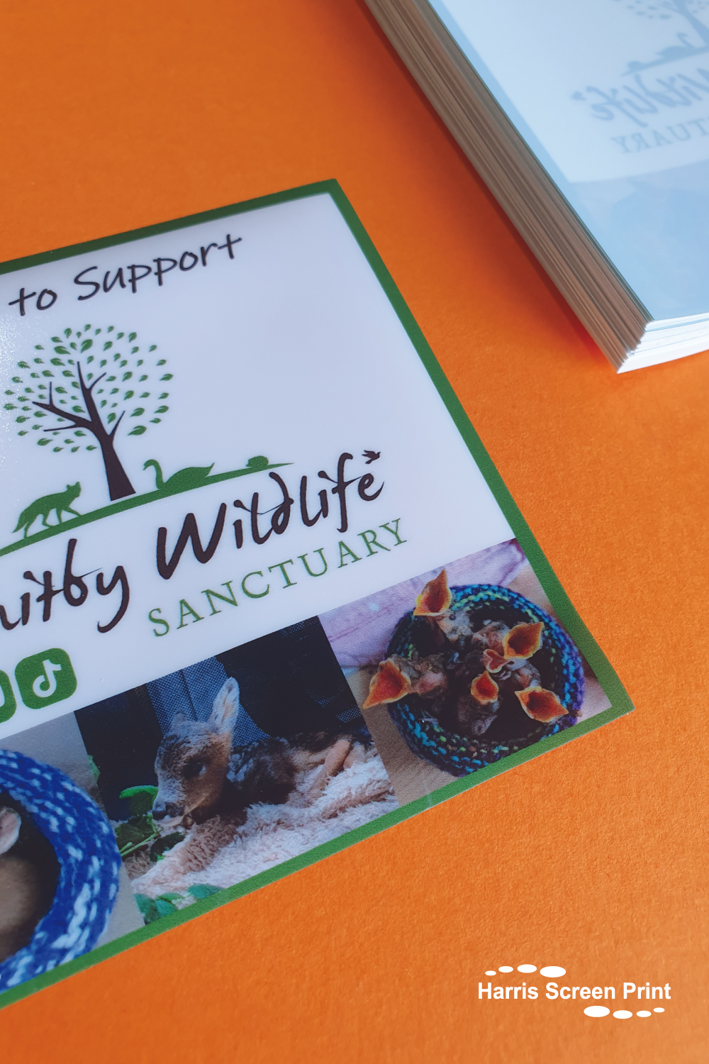 car stickers printed for Whitby Wildlife Sanctuary 