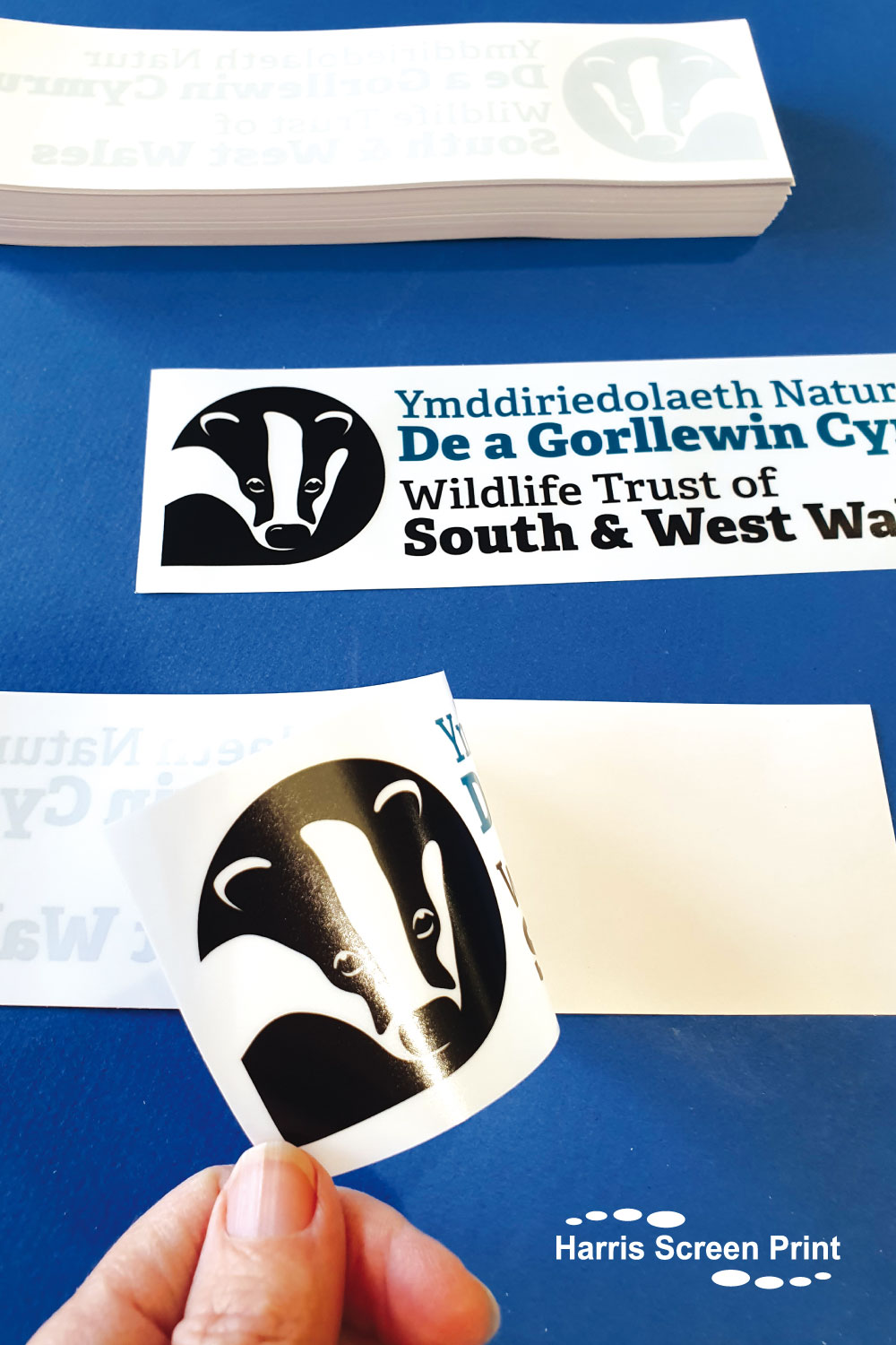 South & West Wales Wildlife Trust Window Stickers